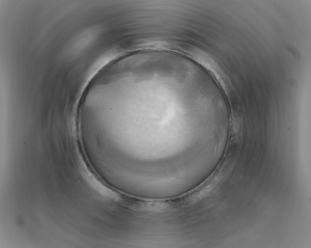 X0000112031090200908101333