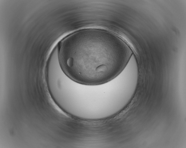 X0000112031092200908101333