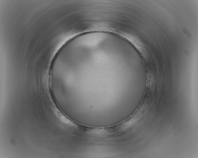 X0000112031094200908101333