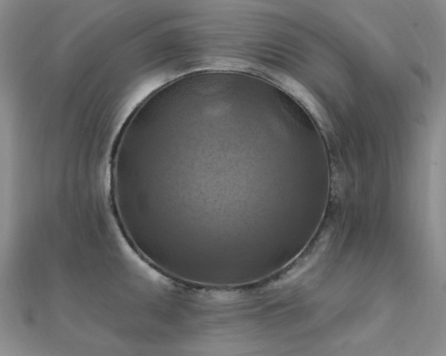 X0000112031095200908101333