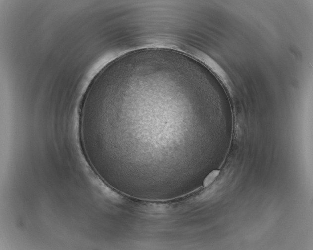 X0000112031096200908101333