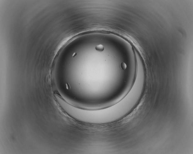 X0000112031097200908101333