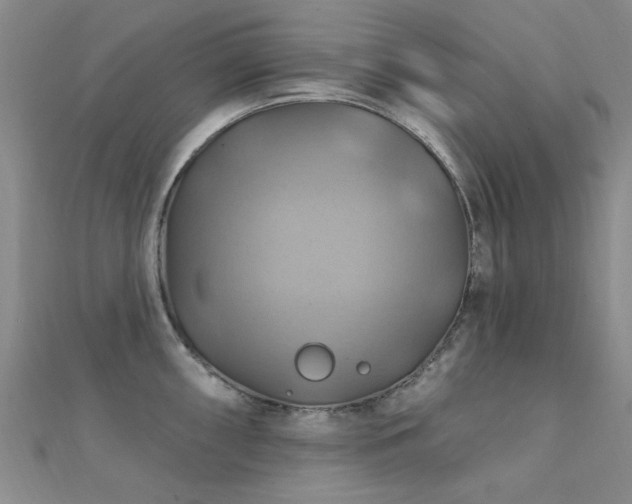 X0000112031098200908101333