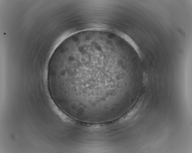 X0000112031099200908101333