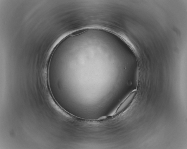 X0000112031100200908101333