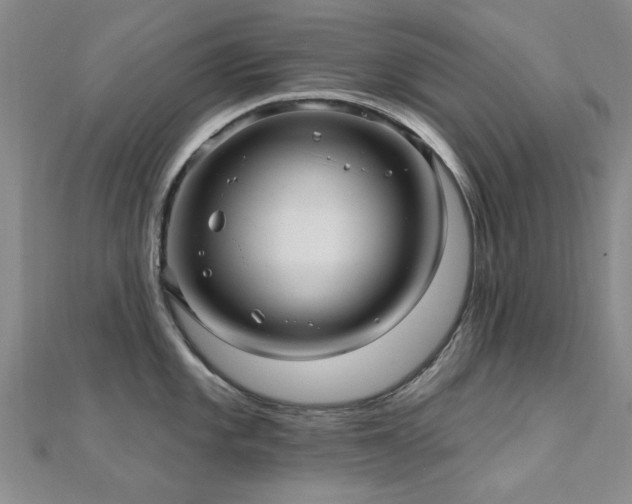 X0000112031101200908101333