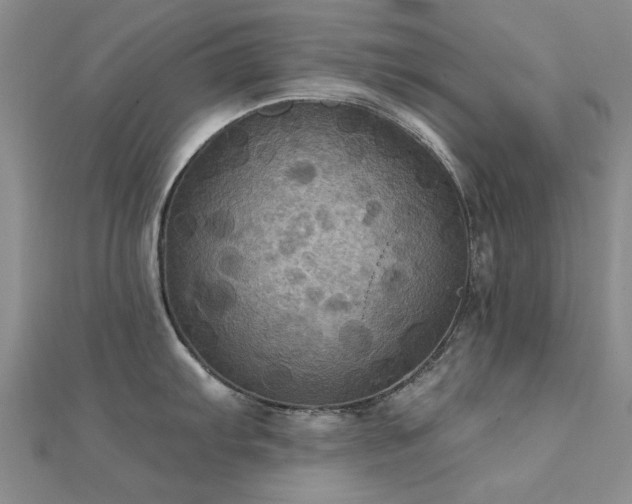 X0000112031103200908101333
