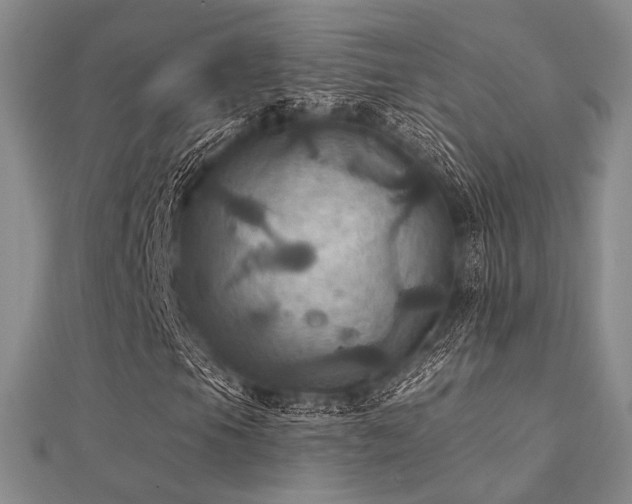 X0000112031105200908101332