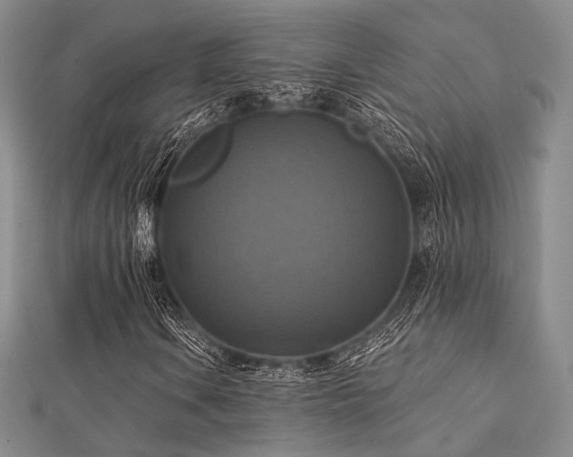 X0000112031106200908101332