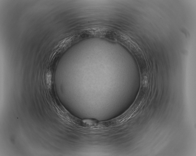 X0000112031108200908101332