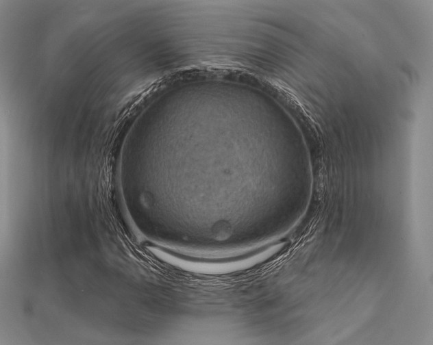 X0000112031110200908101332