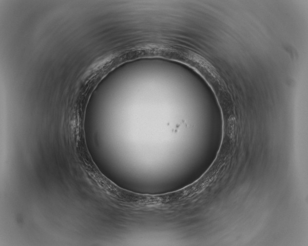 X0000112031111200908101332