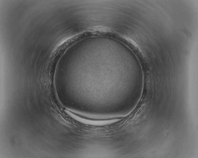 X0000112031112200908101332