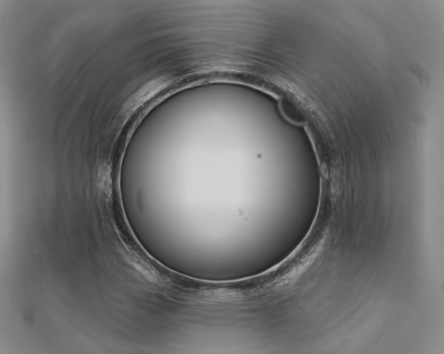 X0000112031113200908101332