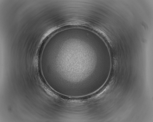 X0000112031114200908101332