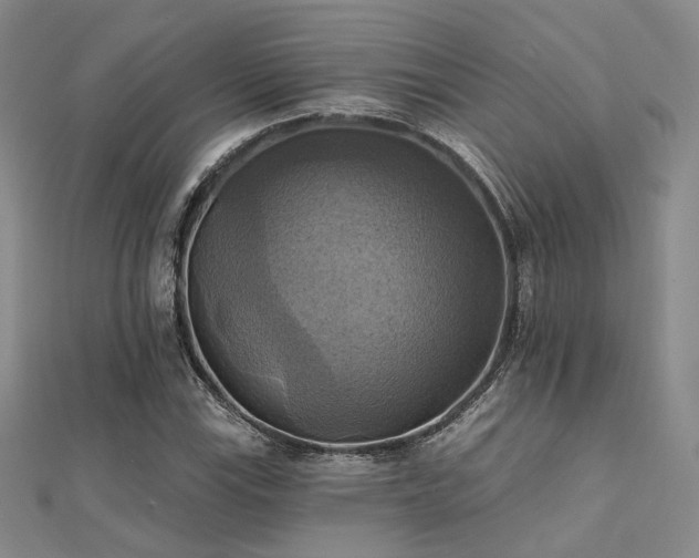 X0000112031115200908101332