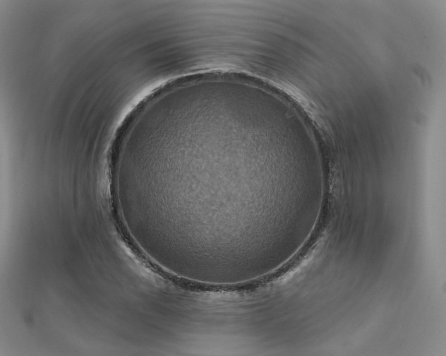 X0000112031118200908101332