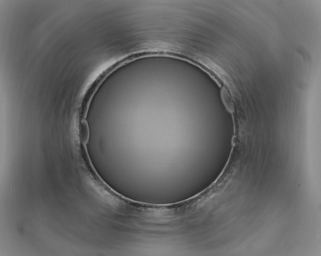 X0000112031120200908101332