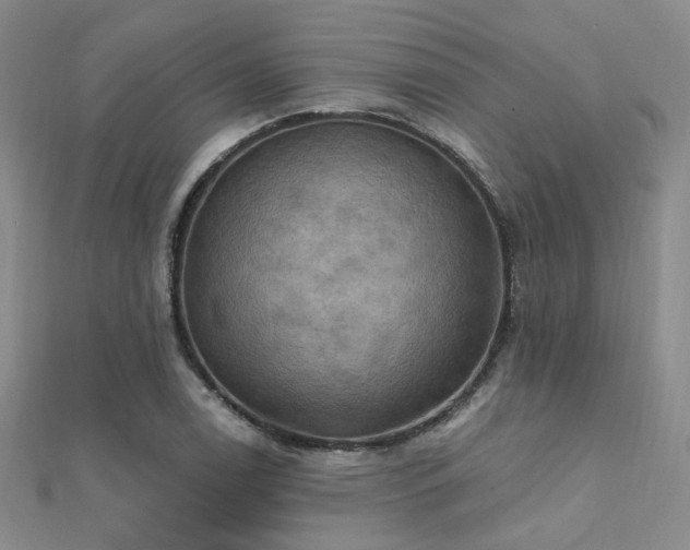 X0000112031122200908101332