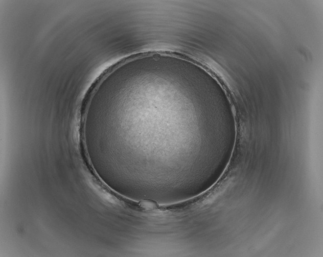 X0000112031124200908101332