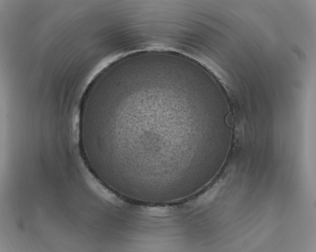 X0000112031126200908101332