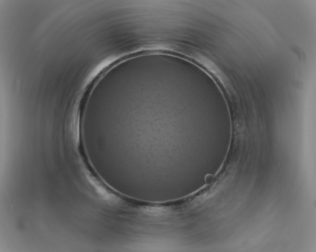 X0000112031127200908101332