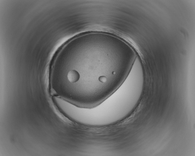 X0000112031128200908101332