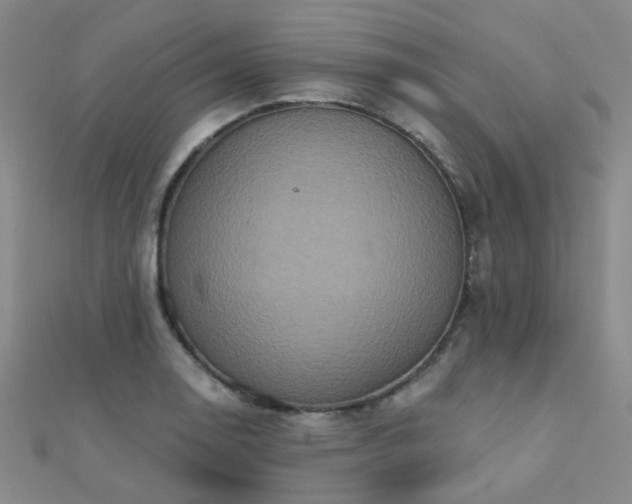 X0000112031130200908101332