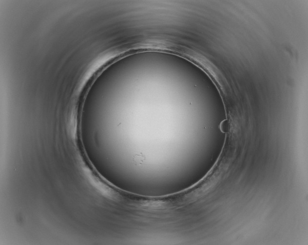 X0000112031131200908101332