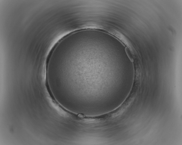 X0000112031132200908101332
