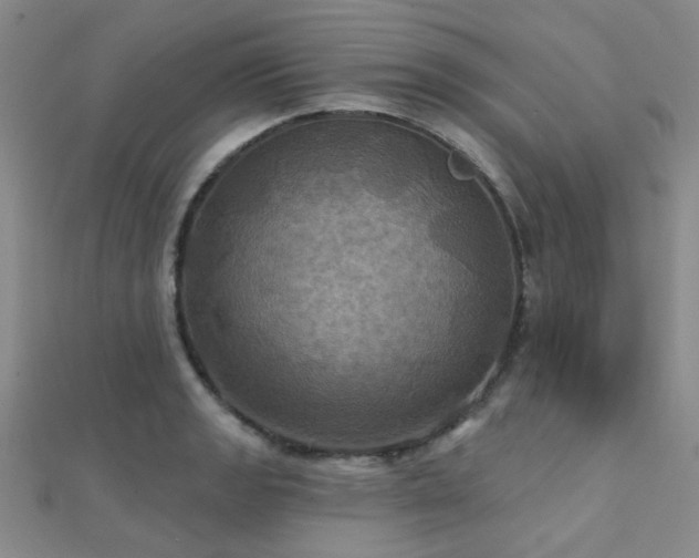 X0000112031133200908101332
