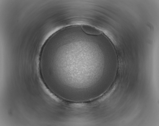 X0000112031134200908101332