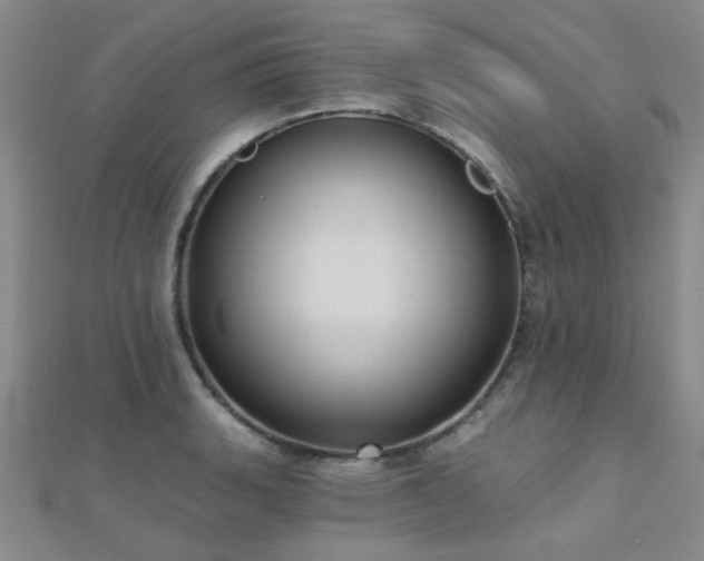X0000112031135200908101332