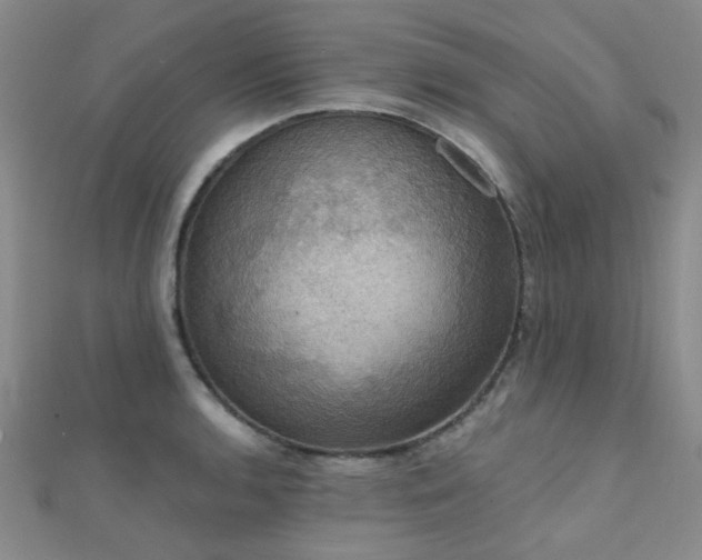 X0000112031136200908101332