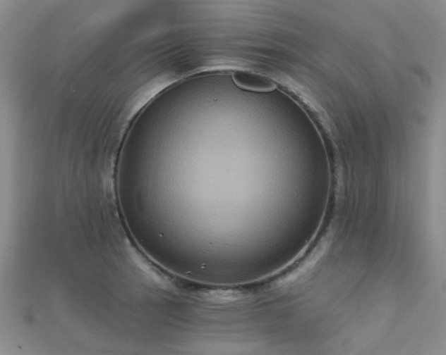 X0000112031137200908101332