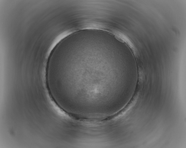 X0000112031138200908101332