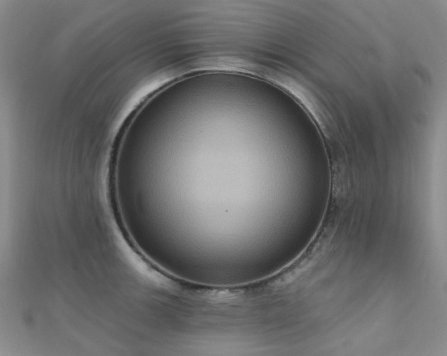 X0000112031139200908101332