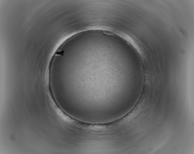X0000112031140200908101332