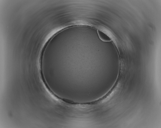 X0000112031141200908101332