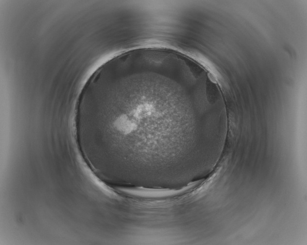 X0000112031142200908101332
