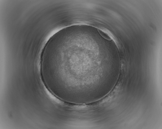 X0000112031143200908101333