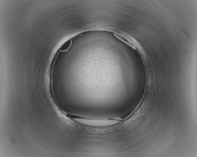 X0000112031144200908101333