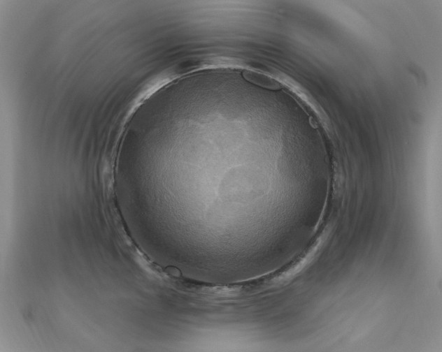 X0000112031145200908101333
