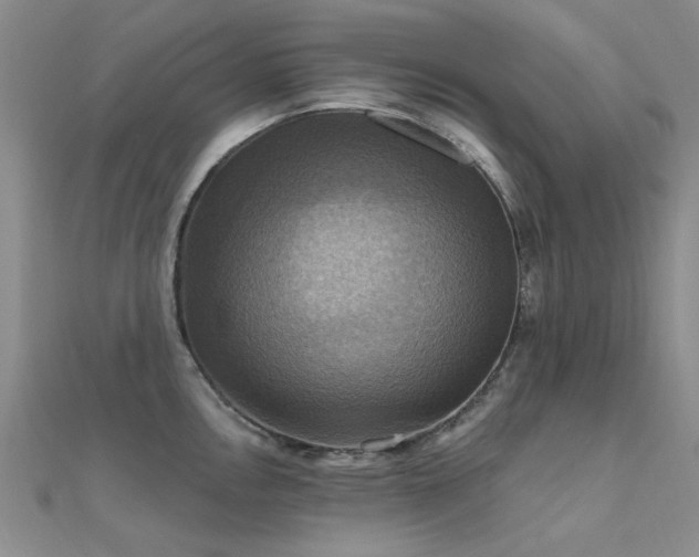 X0000112031146200908101333
