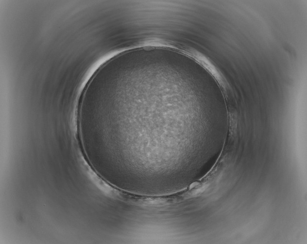 X0000112031148200908101333