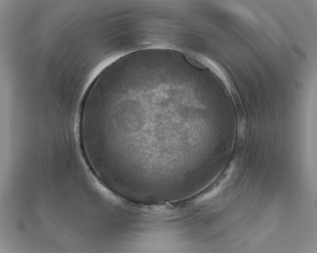 X0000112031149200908101333