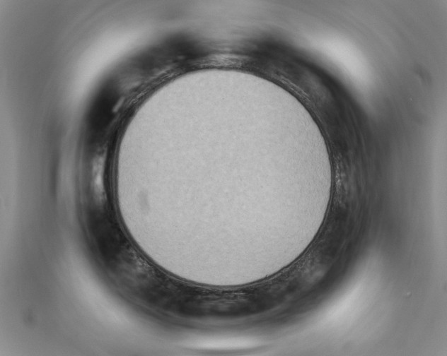 X0000112031150200908101333