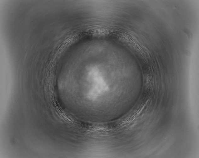 X0000112031153200908101332