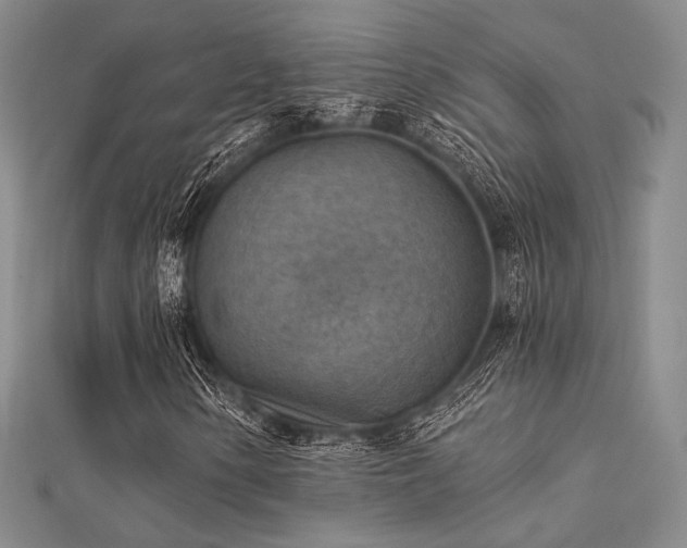 X0000112031154200908101332