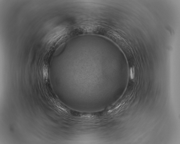 X0000112031155200908101332